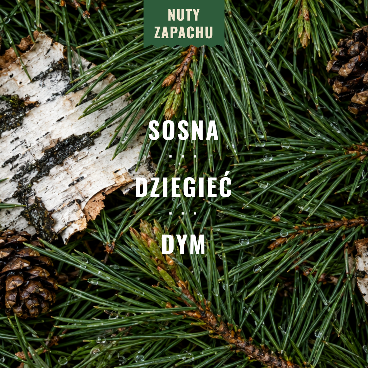 Nuty zapachu: sosna, dziegieć, dym