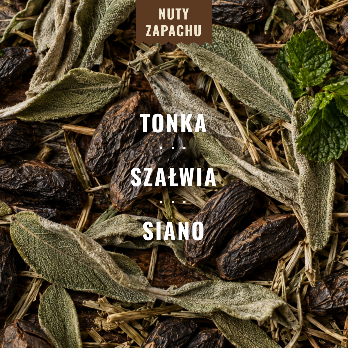 Nuty zapachu: tonka, szałwia, siano