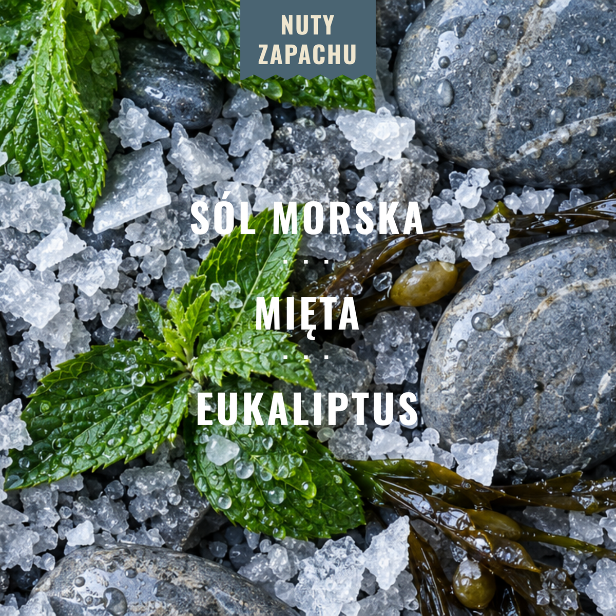 Nuty zapachu: sól morska, mięta, eukaliptus